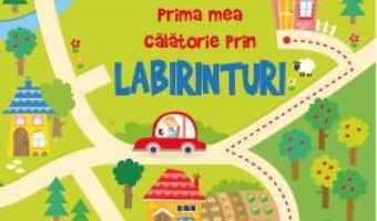 Cartea Prima mea calatorie prin labirinturi – Kristeen Robson (download, pret, reducere)