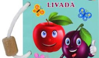 Cartea Fructe de livada – Silvia Ursache-Brega (download, pret, reducere)