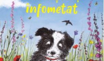 Cartea Doggy, un catelus infometat – Helen Peters (download, pret, reducere)