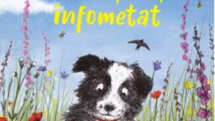 Cartea Doggy, un catelus infometat – Helen Peters (download, pret, reducere)