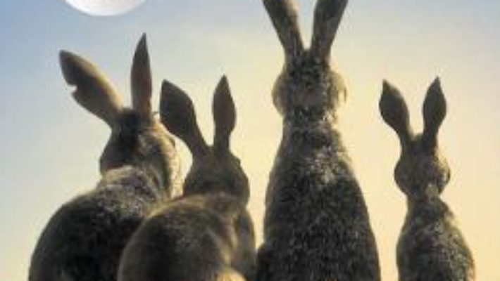 Cartea Watership down – Richard Adams (download, pret, reducere)