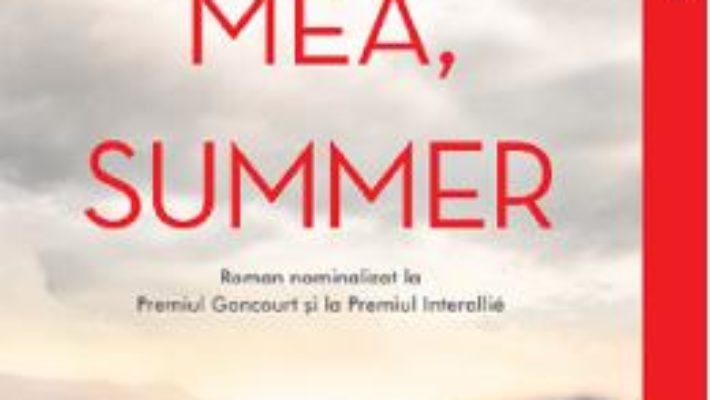 Cartea Sora mea, Summer – Monica Sabolo (download, pret, reducere)