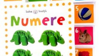 Cartea Bebe invata. Numere (download, pret, reducere)