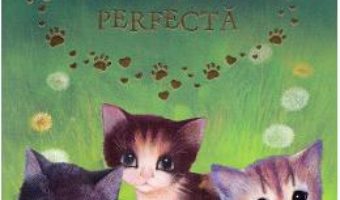 Cartea Pisicuta perfecta – Holly Webb (download, pret, reducere)