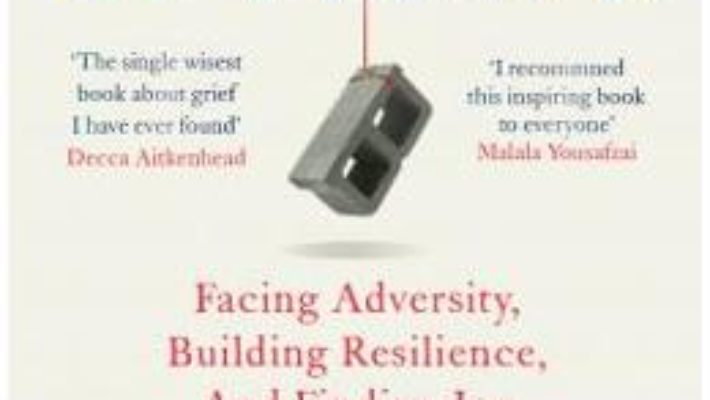 Cartea Option B: Facing Adversity, Building Resilience, and Finding Joy – Sheryl Sandberg, Adam Grant (download, pret, reducere)