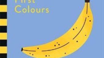 Cartea Hannah + Holly Touch and Talk: First Colours (download, pret, reducere)