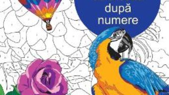 Download  Relaxare: Coloreaza dupa numere PDF Online