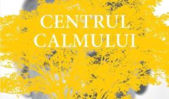 Cartea Centrul calmului – Steve Taylor (download, pret, reducere)