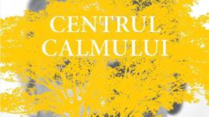 Cartea Centrul calmului – Steve Taylor (download, pret, reducere)