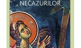 Download  Sfintii Parinti despre biruirea necazurilor PDF Online