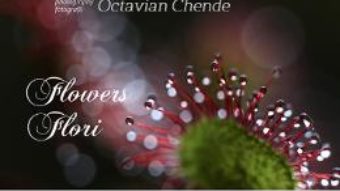 Download  Flowers. Flori- Octavian Chende PDF Online