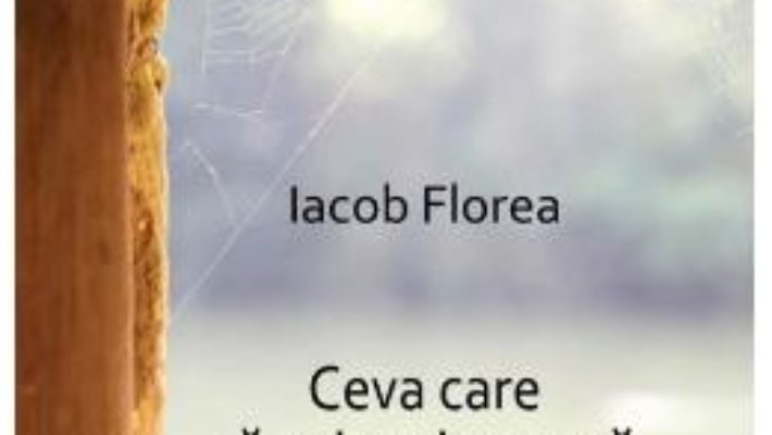 Download  Ceva care sa-mi aminteasca de tine – Iacob Florea PDF Online