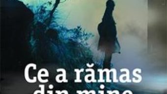 Download  Ce a ramas din mine – Alison Gaylin PDF Online