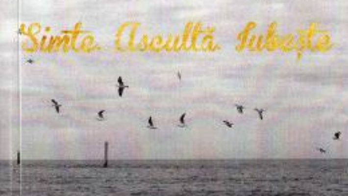 Download  Simte. Asculta. Iubeste – Stef Alina Mihaela PDF Online