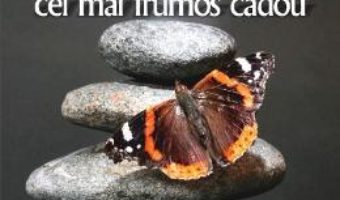 Cartea Viata, cel mai frumos cadou – Andy Hertz (download, pret, reducere)