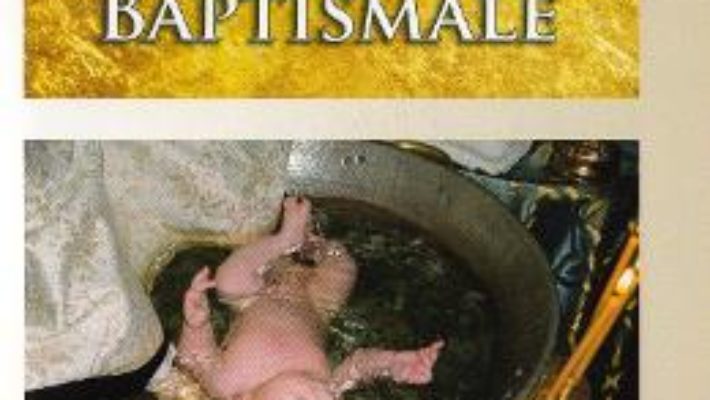 Download  Renasteri baptismale – Catalin Varga PDF Online