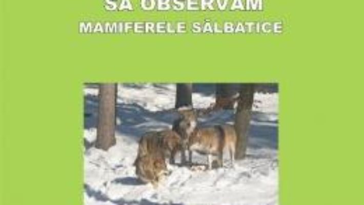 Download  Sa observam Mamiferele salbatice – Planse – Luminita Mihoc PDF Online