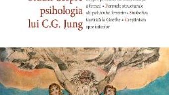 Download  Studii despre psihologia lui C.G. Jung – Toni Wolff PDF Online