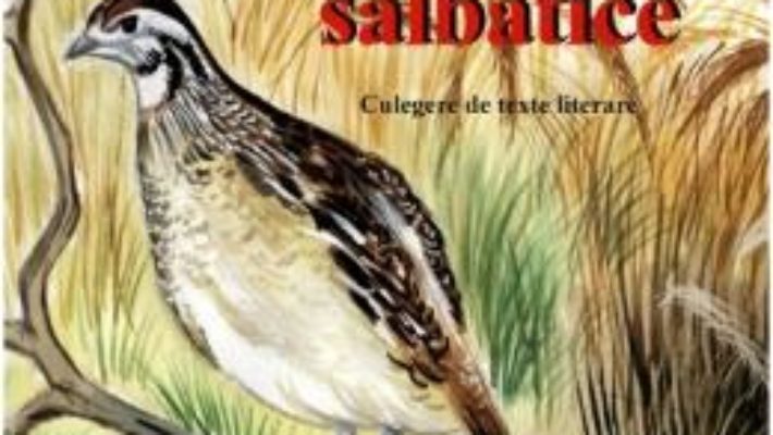 Download  Despre pasarile salbatice. Culegere de texte literare PDF Online