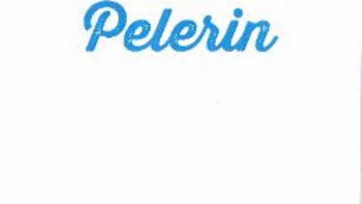 Download Pelerin – Andrei Zanca PDF Online