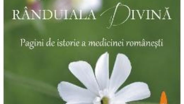 Download Donator, medic, pacient – Calatori prin randuiala divina – Maria Timuc PDF Online