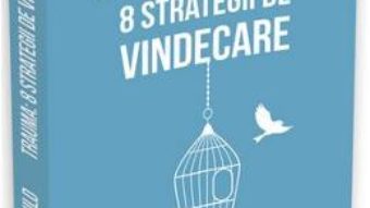 Download Trauma: 8 Strategii de vindecare – Babette Rothschild PDF Online