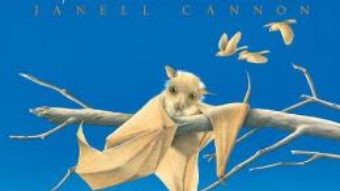 Download Stelaluna (Cartea cu Genius) – Janell Cannon PDF Online