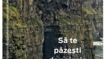 Download Sa te pazesti de peisaje – Corinne Desarzens PDF Online