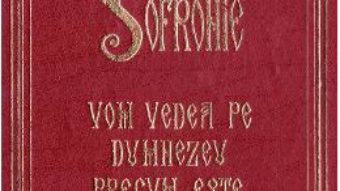 Cartea Vom vedea pe Dumnezeu precum este – Arhimandritul Sofronie (download, pret, reducere)