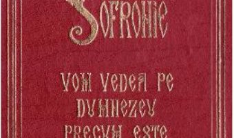 Cartea Vom vedea pe Dumnezeu precum este – Arhimandritul Sofronie (download, pret, reducere)