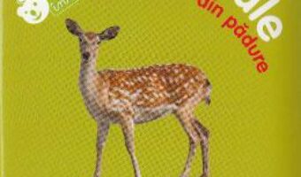 Pret Carte Bebe invata – Animale din padure PDF Online