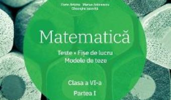 Cartea Matematica – Clasa 6. Partea 1 – Teste. Fise de lucru. Modele de teze – Florin Antohe (download, pret, reducere)