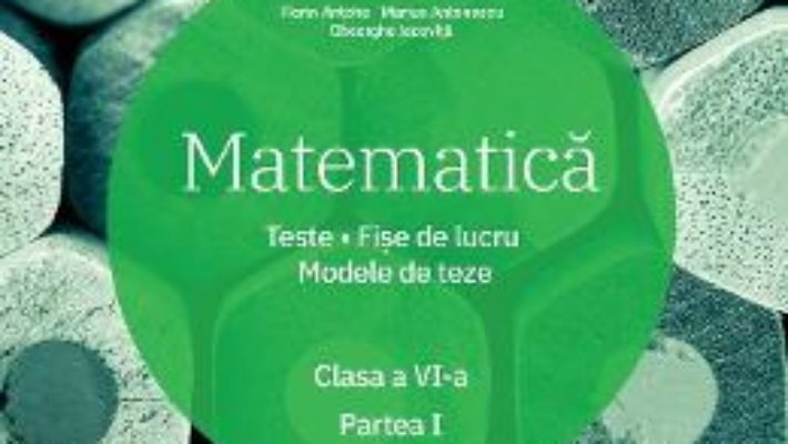 Cartea Matematica – Clasa 6. Partea 1 – Teste. Fise de lucru. Modele de teze – Florin Antohe (download, pret, reducere)