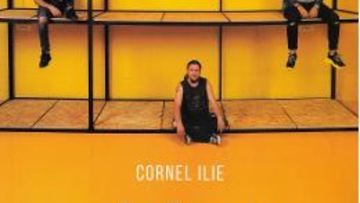 Cartea Deja-vu – Cornel Ilie (download, pret, reducere)