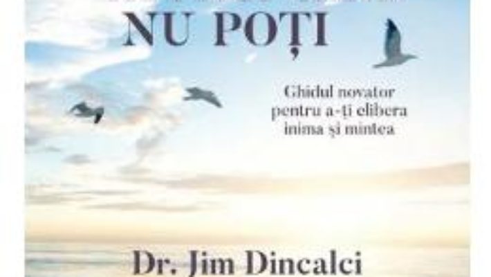 Cartea Cum sa ierti atunci cand nu poti – Dr. Jim Dincalci (download, pret, reducere)