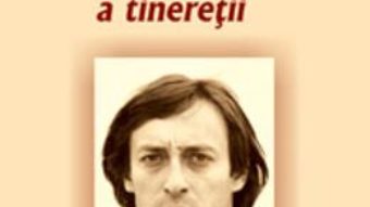 Cartea Mircea Veroiu. Ultima vara a tineretii – Silvia Kerim (download, pret, reducere)