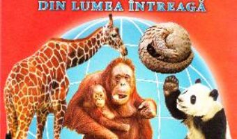 Carte Animale salbatice din intreaga lume – 32 Cartonase – Silvia Ursache PDF Online