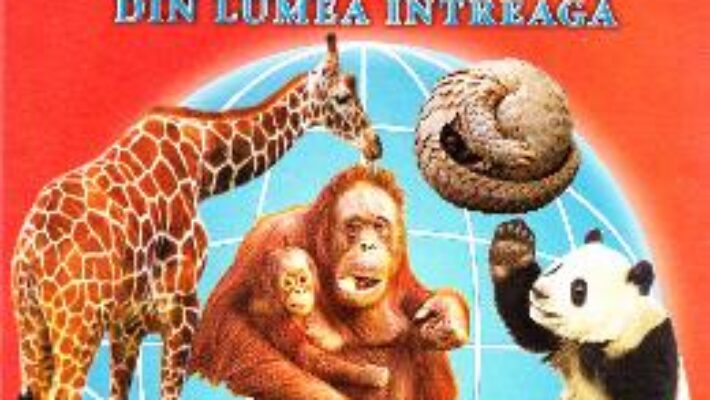 Carte Animale salbatice din intreaga lume – 32 Cartonase – Silvia Ursache PDF Online