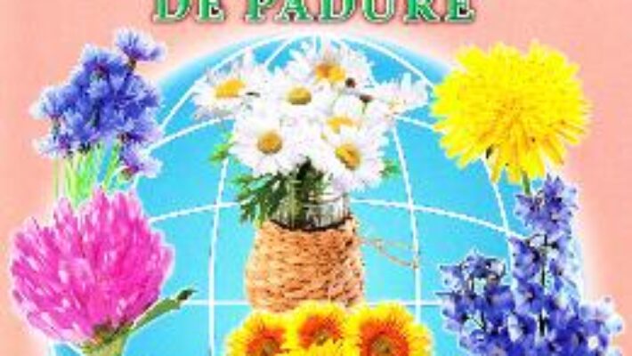 Carte Flori de campie si de padure – Cartonase – Silvia Ursache PDF Online