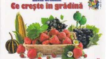 Carte Ce creste in gradina – Silvia Ursache PDF Online