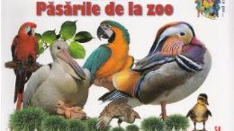 Carte Pasarile de la zoo – Silvia Ursache PDF Online