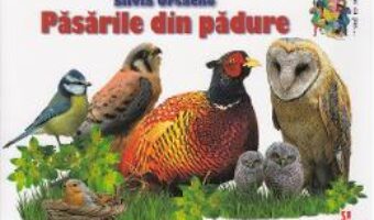 Carte Pasarile din padure – Silvia Ursache PDF Online