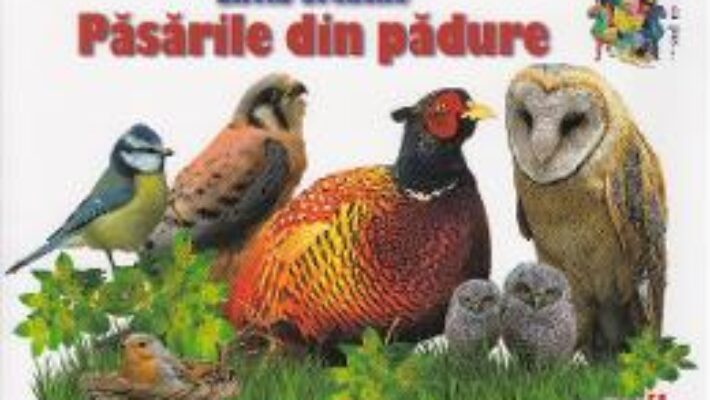 Carte Pasarile din padure – Silvia Ursache PDF Online