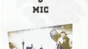 Cartea Mare si mic – Mircea Malita PDF Online