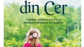 Cartea Miracole din cer – Christy Wilson Beam (download, pret, reducere)