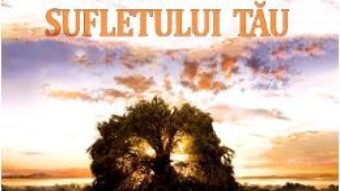 Cartea Darul sufletului tau – Schwartz Robert (download, pret, reducere)