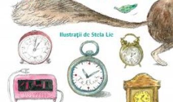 Cartea Istoriioare – Laura Grunberg, Stela Lie (download, pret, reducere)