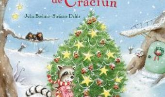 Cartea Dorinta de Craciun – Julia Boehme, Stefanie Dahle (download, pret, reducere)