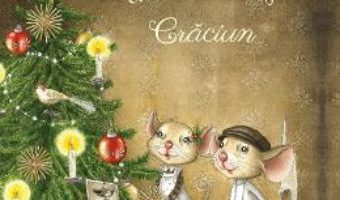 Cartea Cel mai frumos Craciun – Michael Engler, Martina Matos (download, pret, reducere)