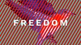 Cartea Freedom – Jonathan Franzen (download, pret, reducere)